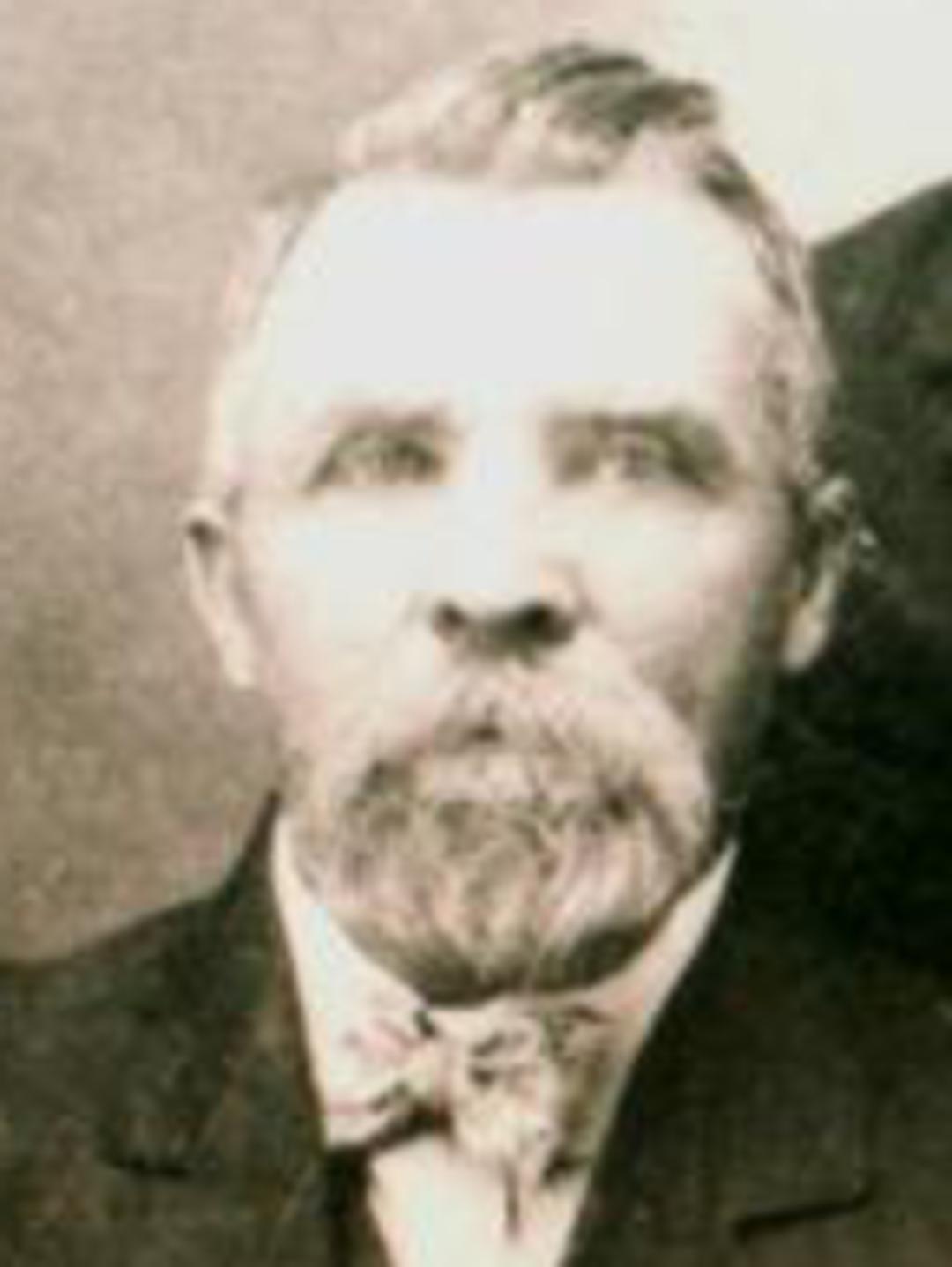 Henry McQuin Adamson (1845 - 1927) Profile
